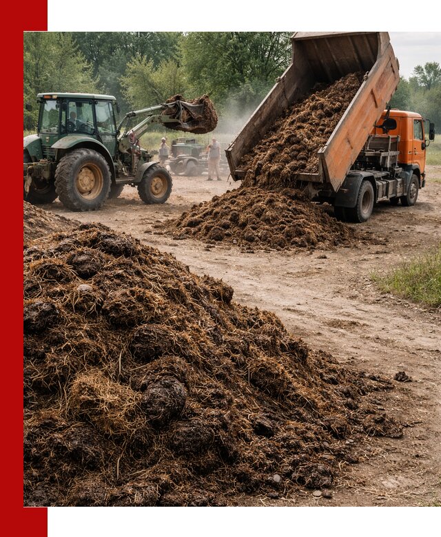 Доставка навоза самосвалами в Ноябрьске для сельхозпотребностей